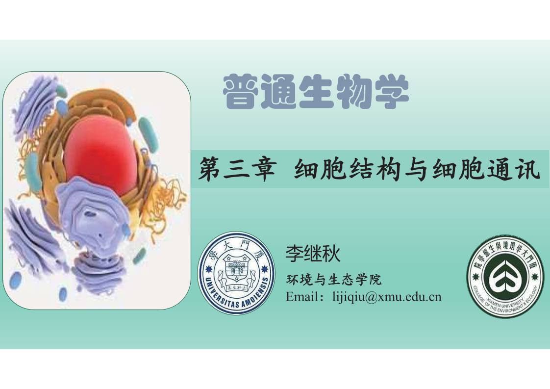 缩略图1