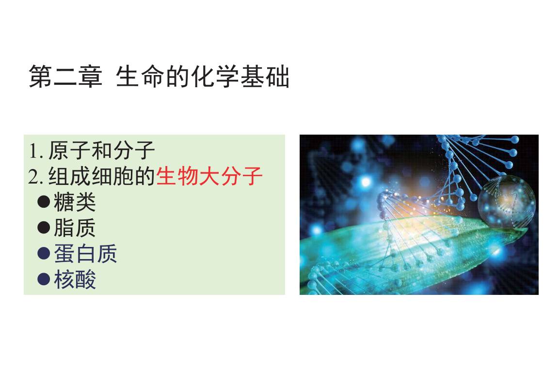 缩略图2