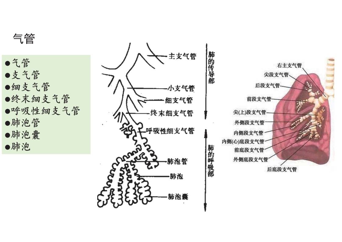 缩略图4