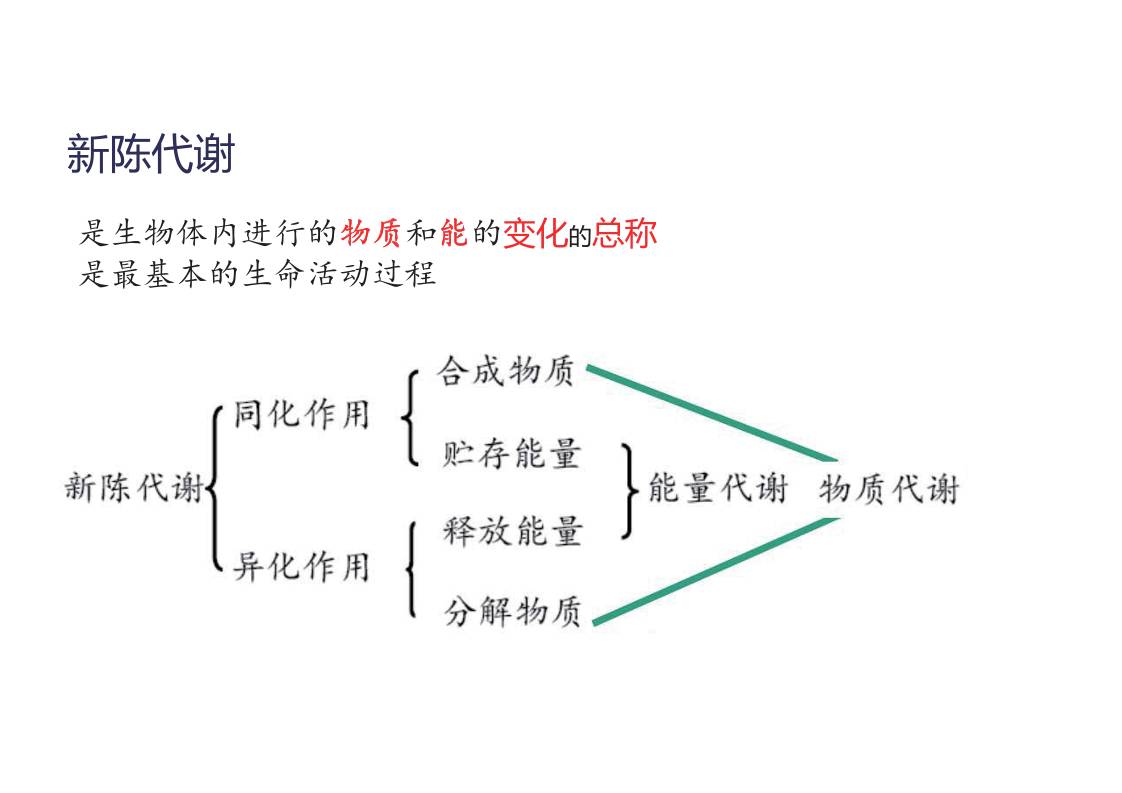 缩略图3
