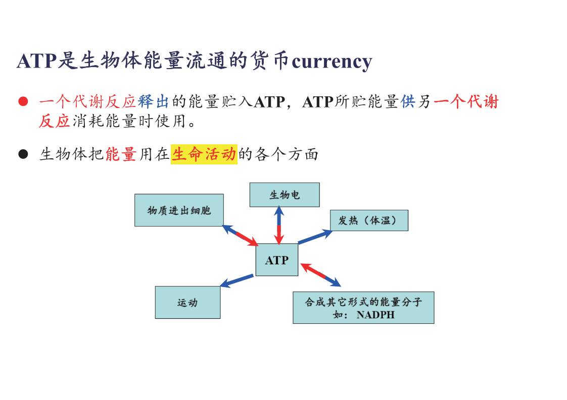 缩略图4