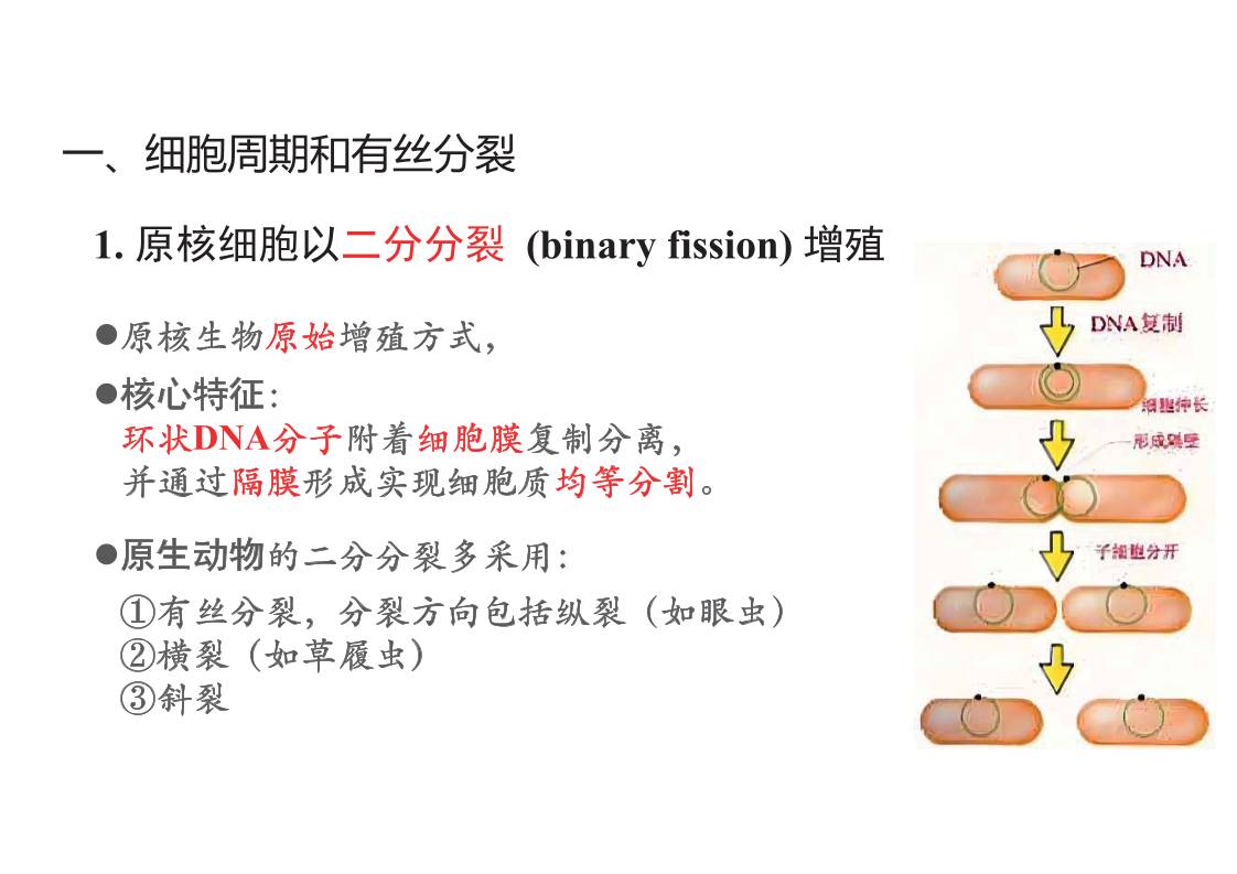 缩略图2