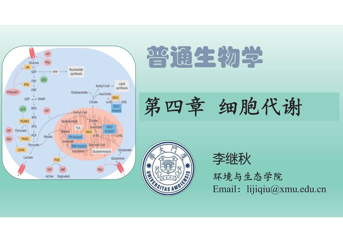 缩略图1